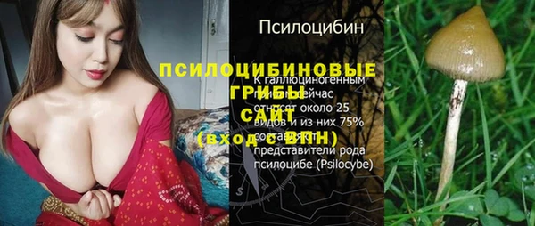 прущие крисы Арсеньев