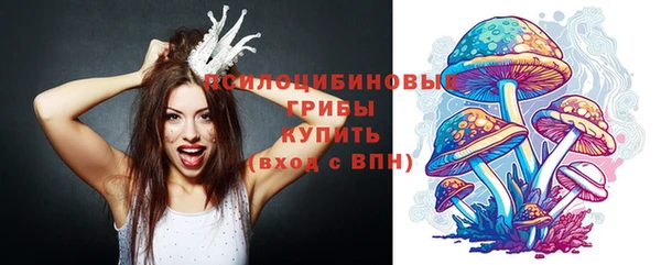 прущие крисы Арсеньев